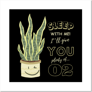 Funny Sansevieria, Sansevieria Trifasciata, Snake Plant Posters and Art